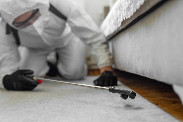 Professional Termite Control technician working in Glendale, WI