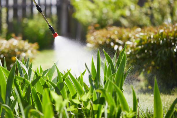 24/7 Emergency Termite Control experts in Glendale, WI